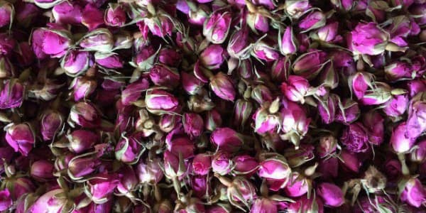 تصویر 5 از خرید و فروش گل محمدی خشک کرده با شرایط فوق العاده